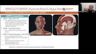 VNS Webinar Transcutaneous Auricular Neurostimulation tAN [upl. by Greg756]