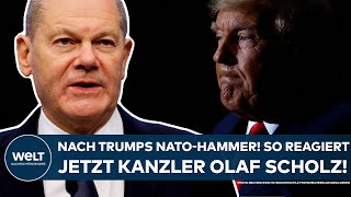 USA Nach dem NATOHammer von Präsidentschaftskandidat Donald Trump Jetzt reagiert Kanzler Scholz [upl. by Eem]