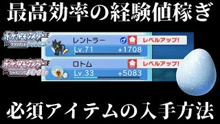 【ダイパリメイク】レベル上げ・経験値稼ぎの最高効率はこれ！必須アイテムの入手方法も紹介！【ダイヤモンドパール】 [upl. by Va]