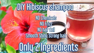 Homemade shampoo ONLY 2 ingredients Get Frizzfree Strong Smooth Silky Long Hair [upl. by Ainuj]