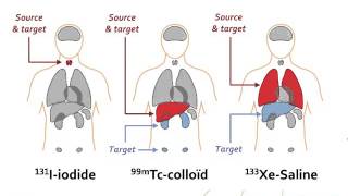 IAEAEANM webinar  Basic Radiopharmaceutical Dosimetry  Basic Nuclear Medicine webinars series [upl. by Notserc740]