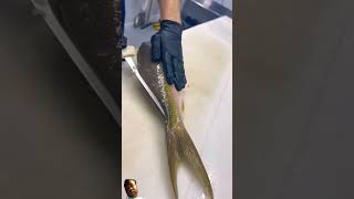 How to filets snapper for Dinner fypシ゚viral fyp reels shortvideo short shorts food foodie [upl. by Annocahs]