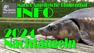 Marios Angelteiche Blumenthal  Nachtangeln 2024  Neue Zeiten [upl. by Gunter]