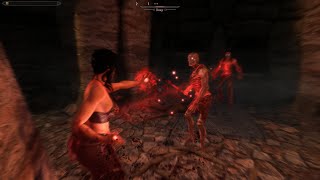 Heavily Modded Skyrim New Playthrough Part 13 [upl. by Naelcm]