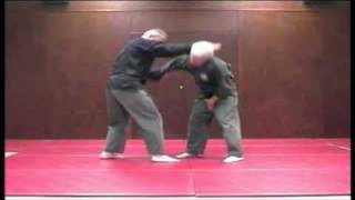 Kempo Technique  Set 2 [upl. by Light685]