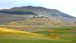 CASTELLUCCIO DI NORCIA LA FIORITURA 2022  Full HD [upl. by Anod]