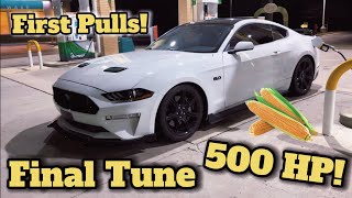 Corn Fed FBO Mustang GT Gets Final Tune 500WHP [upl. by Anassor]