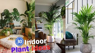 30 Best Indoor Plant Ideas 🌳🌲🌴 Indoor Plants Decoration  Indoor Plants Without Sunlight [upl. by Engamrahc]