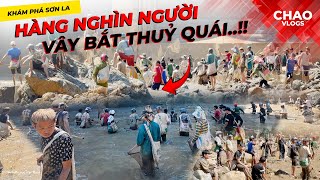 Xuất Hiện quotThuỷ Quáiquot Hàng Nghìn Người Vây Bắt Như Đi Đánh Trận [upl. by Yancy]