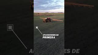 Aplicaciones DE PRIMERA ¡Dosis variable en trigo [upl. by Droffilc401]