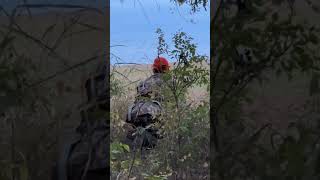 Archery Deer Hunt 2024 Pt One Calins Outdoor Adventures deerhunting archery [upl. by Oiramej585]