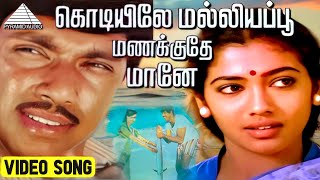 கொடியிலே மல்லியப்பூ மணக்குதே HD Video Song  கடலோர கவிதைகள்  சத்தியராஜ்  ரேக்கா  இளையராஜா [upl. by Leamiba]