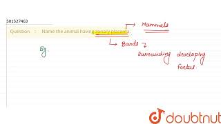 Name the animal having zonary placenta  CLASS 12  HUMAN REPRODUCTION  BIOLOGY  Doubtnut [upl. by Owen]