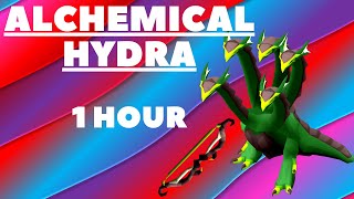 alchemical hydra guide osrs with Twisted bow 1 hour recorded [upl. by Nnylirret]