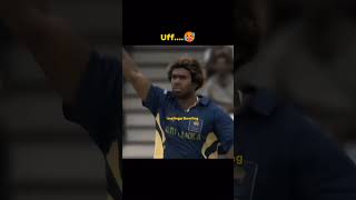 Malinga bowling [upl. by Corly]