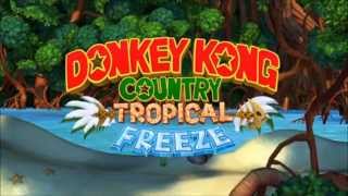 Wing Ding World 26  Donkey Kong Country Tropical Freeze OST Extended [upl. by Swigart]