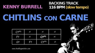 Chitlins Con Carne 116 BPM slow Backing Track [upl. by Maiah]