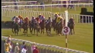 1989 Swinton Insurance Trophy Handicap Hurdle [upl. by Ssirk]