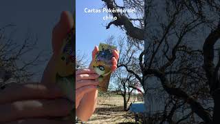 Cartas Pokémon chinas parte 7 pokemon cartas cartaspokemon cartasdepokemon asmr [upl. by Blus162]