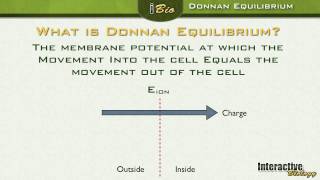 006 Donnan Equilibrium and Driving Force [upl. by Leler]