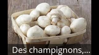 Faire pousser des Champignons de Paris à lécole [upl. by Lien]