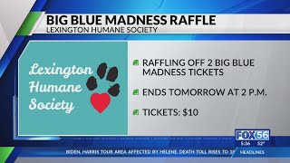 Want a chance to go to Big Blue Madness The Lexington Humane Society can help [upl. by Caspar203]