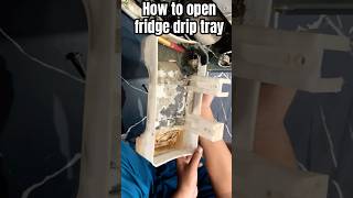 How to open fridge fridge [upl. by Laforge]