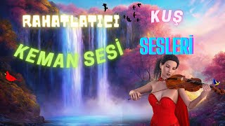 Keman Eşliğinde Şelale Görüntüleri Ve Kuş Sesleri Uyku Müziği [upl. by Anirbus]