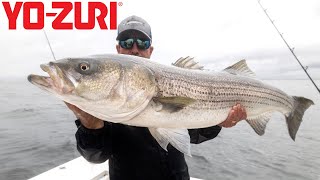 Insane New Jersey Striped Bass Fishing [upl. by Akira597]