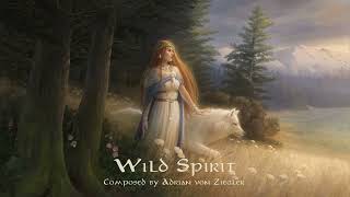 Celtic Music  Wild Spirit [upl. by Nosmoht636]