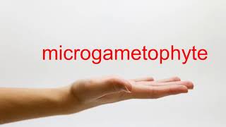 How to Pronounce microgametophyte  American English [upl. by Sucramel]