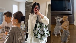 Vlog｜这周家里热闹了｜一人带三狗的忙乱生活｜又拿椰子鸡来招待朋友了！ ｜附食谱｜打折单品购物分享 [upl. by Eitten]