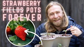 Planting Strawberries in Containers StepbyStep Guide for Beginners 🍓 [upl. by Ylsew]