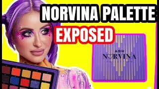 NORVINA PRO PALETTE COLLECTION VOL1 REVIEW ANASTASIA BEVERLY HILLS [upl. by Simah]