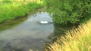 Fly Fishing with Guides of Swan Valley Idaho [upl. by Slinkman]