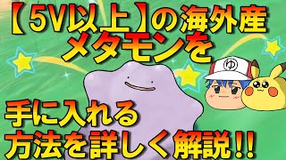 【ポケモンSV】5V以上のメタモン量産⁉海外産の高個体値メタモンの交換方法をわかりやすく紹介【ゆっくり解説】 [upl. by Bashemeth]