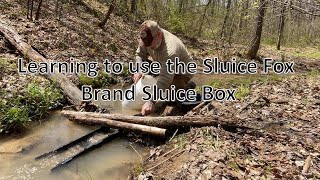 Learning to use the Sluice Fox Brand Sluice Box [upl. by Chambers]