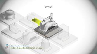 Native and modified starch process [upl. by Teddman]