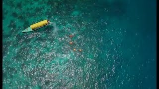 Zanzibars awardwinning private nature reserve Chumbe Island Coral Park [upl. by Omocaig]