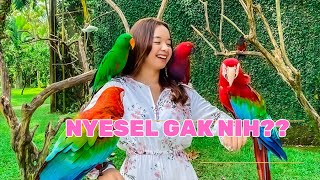 BALI BIRD PARK  FULL KELILING amp BIRD SHOW [upl. by Ivette200]