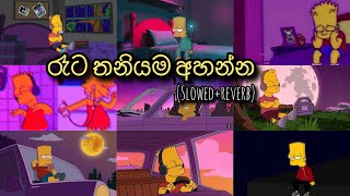 මනෝපාරකට සින්දු slowedreverb  manoparakata sinhala songs [upl. by Oinolopa573]