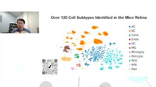 Comprehensive characterisation of the mouse retina transcriptome using longread RNA sequencing [upl. by Ulphia735]