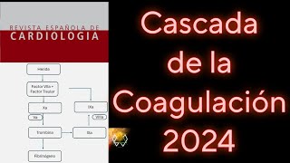 CASCADA DE LA COAGULACION FACIL QUE SON LOS FACTORES DE LA COAGULACION [upl. by Ettelegna13]