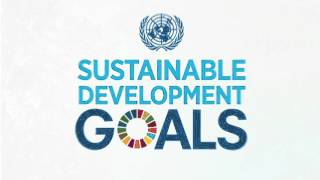 Transitioning from the MDGs to the SDGs [upl. by Nicholas]