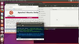 How to set permissions after install LAMP on Ubuntu 1704 for development [upl. by Ahsemaj69]