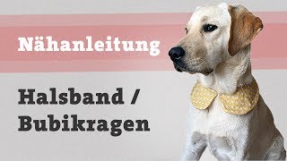 DIY Hundehalsband selber machen  Hund Halstuch Halsband nähen Nähanleitung kostenlos [upl. by Rambort945]