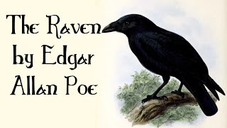 The Raven by Edgar Allan Poe  Quoth the Raven Nevermore  Poetry for Kids FreeSchool [upl. by Deborath9]