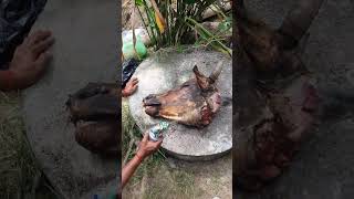 Clean the cows head newmusic lyrics song spotify shorts cooking short shortsvideo [upl. by Akitahs13]