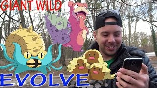 Pokemon GO  OMASTAR EVOLVE amp DIGLETT VADÁSZAT  WILD SLOWBRO [upl. by Pickard]