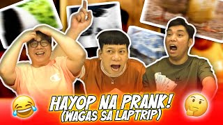 HAYOP NA PRANK WAGAS SA LAPTRIP  BEKS BATTALION [upl. by Nahoj]